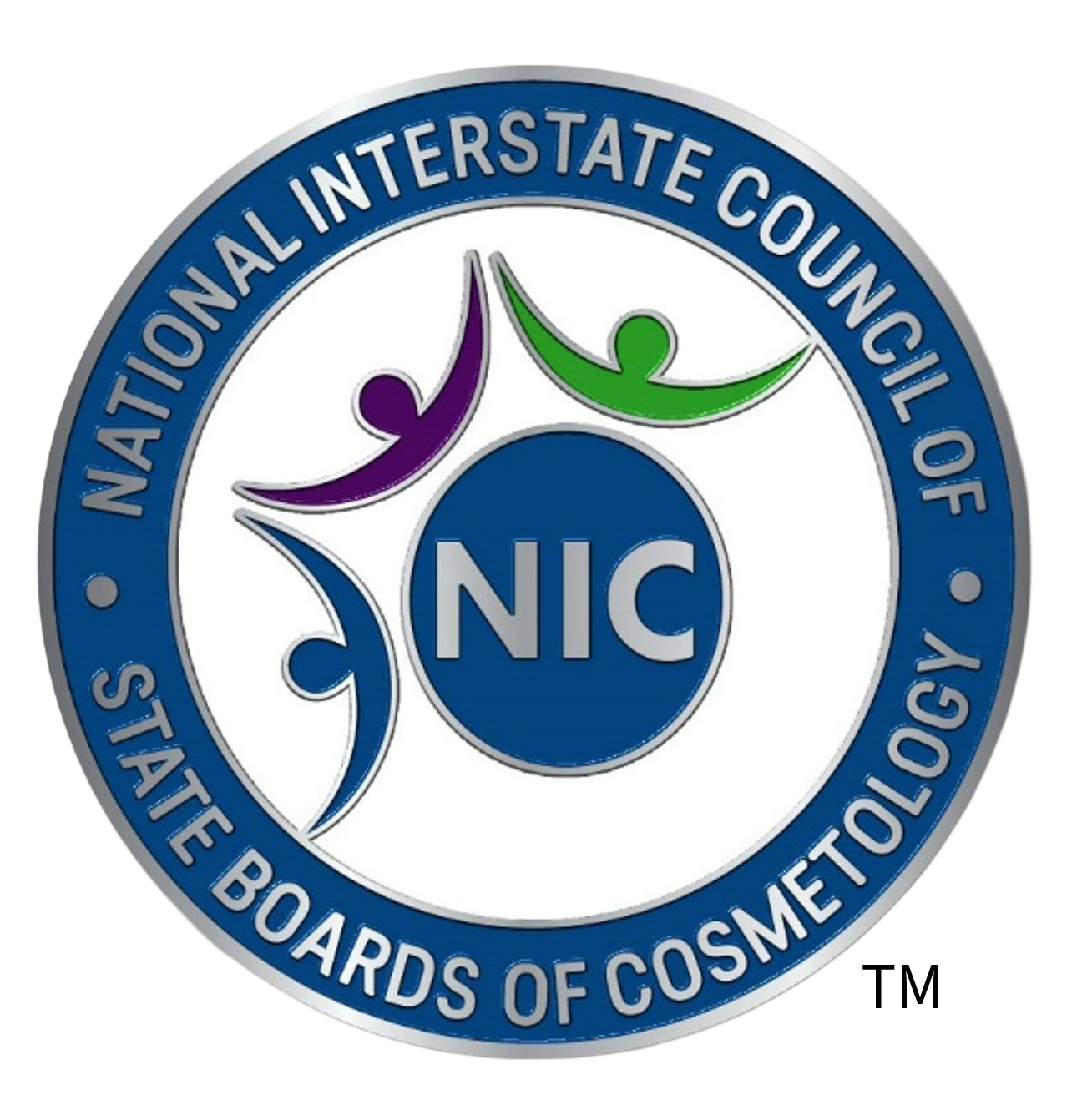NIC logo